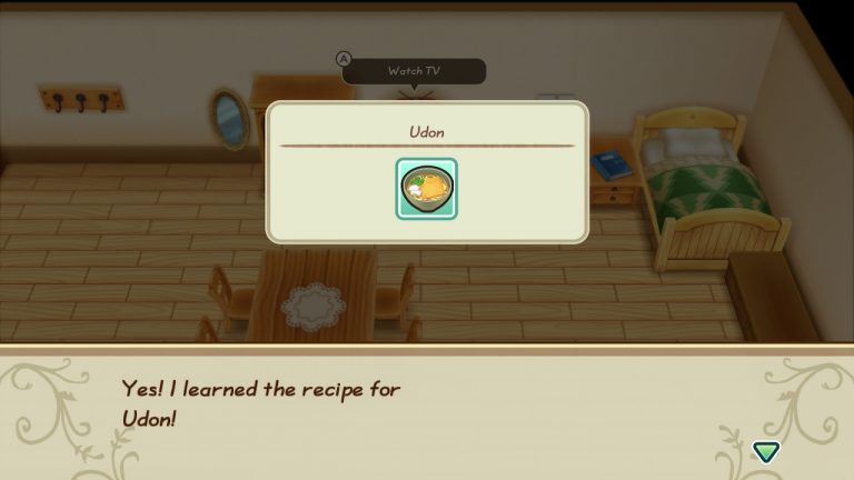 Story of Seasons: Friends of Mineral Town Tips and Tricks for Leveling