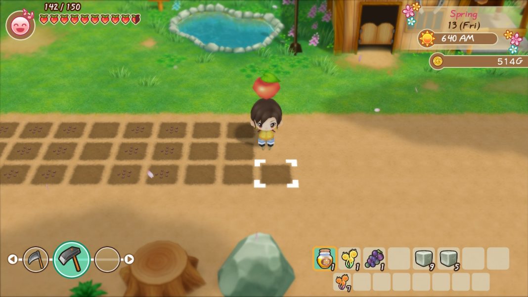 Story of Seasons: Friends of Mineral Town Tips and Tricks for Leveling